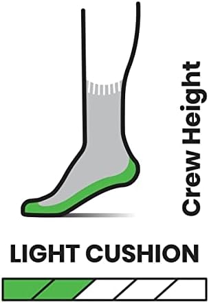SmartWool Performance Hike Light Cushion Crew Sock Ash, L L