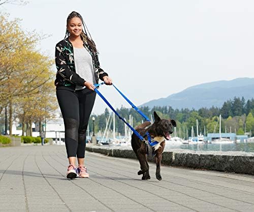 Equipamento canino 65502011 Ultimate Control Harness Dog Harness, X-Small