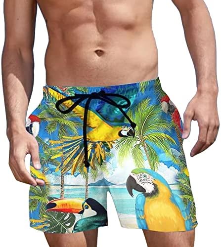 Shorts de praia plus size para homens 3D elástico de cintura elástica praia shorts de malha