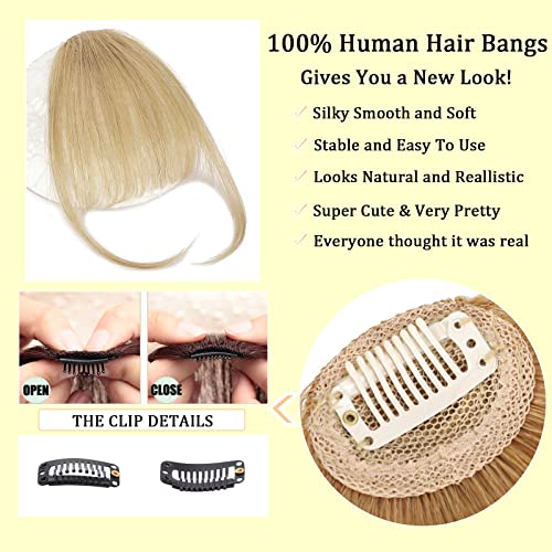 Clipe na franja Human Hair Berks Clip em extensões de cabelo Fringe com calardes de templos para mulheres franjas