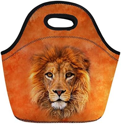 Coloranimal térmico isolada neoprene bolsa de toute