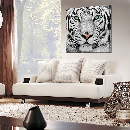 KRATIVIVE ARTS BRANCO TIGER TIGAR ARTE PRIMENTO DE ARIMENTO ARIMENTO DE PALAVRA DE PARECE DE DECO Deco Picture Streted