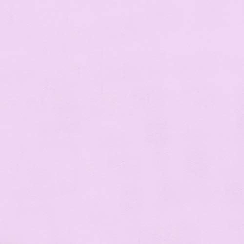 Cartolina roxa de lavanda - 12 x 24 polegadas - tampa de 100 lb - 25 folhas - papel de caminho claro