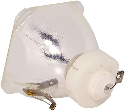 Economia de Lytio para Mitsubishi Vlt-XL5LP Lamp Vltxl5lp