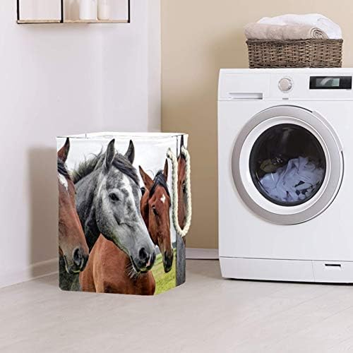 Deyya Cestas de lavanderia impermeabilizadas altas cavalos dobráveis ​​de cavalos de cabeça impressão para crianças adultos