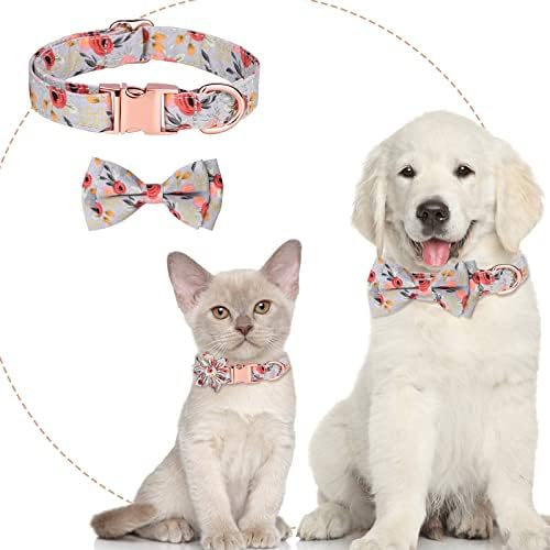 Colarinho de cachorro masculino com gravata borboleta de algodão personalizado colar