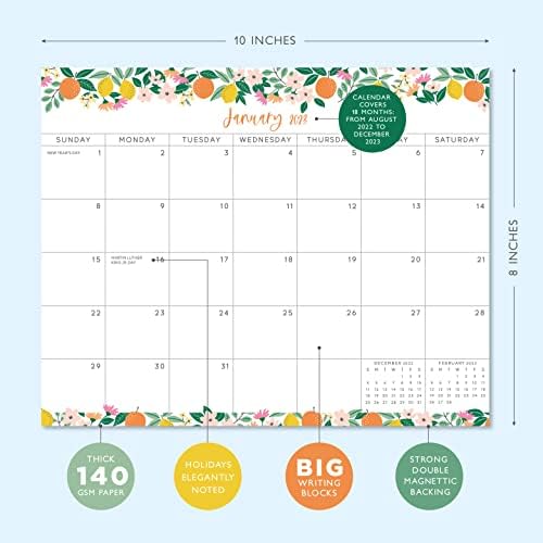 S&O Fruity Magnetic 2023 Fridge Calendar de julho de 2022 a dezembro de 2023 - Calendário da geladeira rasgo para rastrear