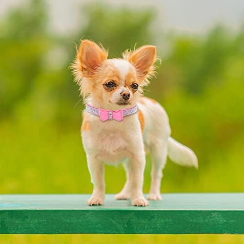 Colarinho de cachorro com coleira conjunto de strass ajustáveis ​​colares para cães para cães médios pequenos feminino