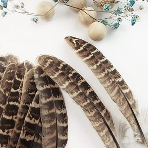 120 PCs 4-6 polegadas Formadas faisões naturais Tails Tails Natural Peru Feathers para artesanato de penas Artesanato Criações