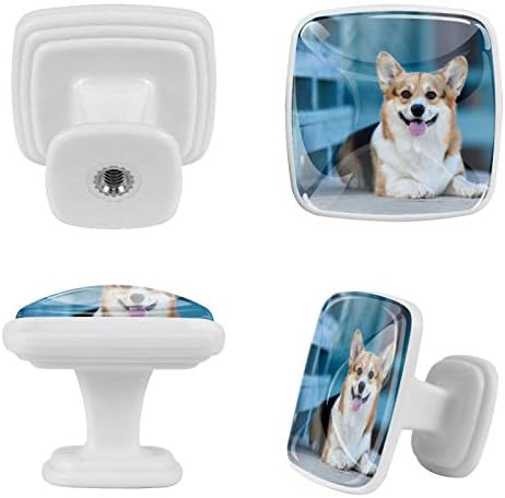 Idealiy Corgi Dog Pattern Drave Mutren maçaneta de armário de armário com parafusos 4pcs
