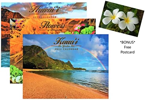 Longs Drugs 2023 Hawaii Long 12 meses Calendário havaiano + cartão postal de bônus