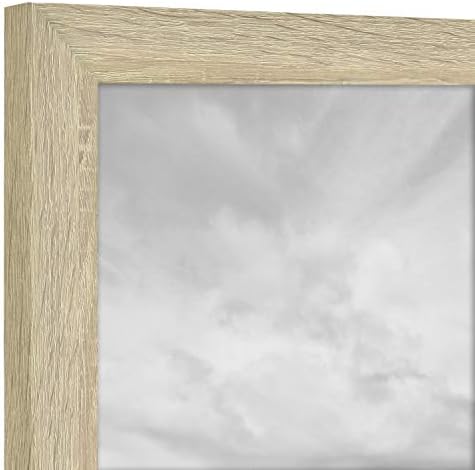 MCS Studio Gallery Frame, Natural Woodgrain, 16 x 24 pol.