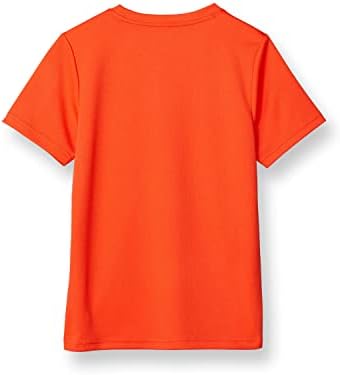 Camiseta de garotos campeões, camiseta infantil para meninos, camiseta leve para crianças, roteiro e impressão