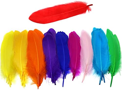 Ganso penas Luorng 100pcs 6-8 polegadas / 15-20cm Feathers de ganso colorido para decorações de arte e festas DIY, penas coloridas