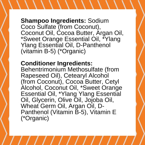 / Liv/ Nature Argan Shampoo Bar e condicionador conjunto para cabelos com recipiente de viagem (laranja, shampoo sólido hidratante