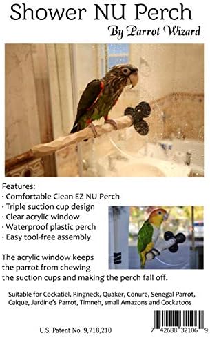 Chuveiro nu poleiro para papagaios pequenos a médios