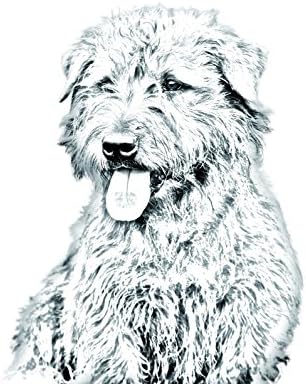 Glen de Imaal Terrier, lápide oval de azulejo de cerâmica com uma imagem de um cachorro