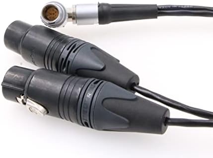 Cabo de entrada de áudio de áudio zblzgp 10 pinos para fêmea dupla de 3 pinos XLR para Atomos Shogun Flame Monitor Recorder