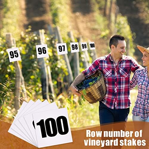 Vicenpal 100 peças Número de cartões flash 1-100 Cartões de números de dupla face Números de mesa de plástico 1 a 100 números
