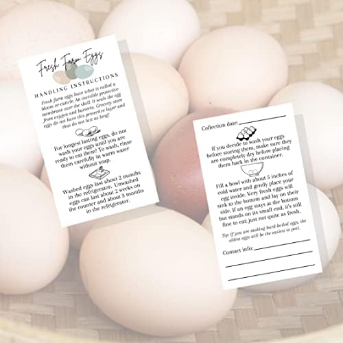 Instruções de manuseio de ovos de fazenda fresca | 50 pacote | Cartão de visita de 2x3.5 polegadas | Instruções de manuseio de ovos para ovos frescos da fazenda | Projeto de cartão branco | Data de coleta e linhas de informações de contato