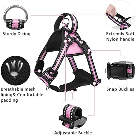 Winsee Step in Dog Harness Gollar e Leash Set, All-in-One Reffortive No Escape Dog Arness com fivelas ajustáveis ​​para filhotes