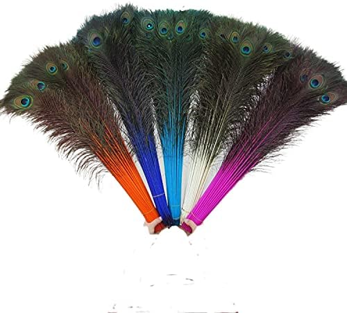 Pumcraft Feather for Craft Belas