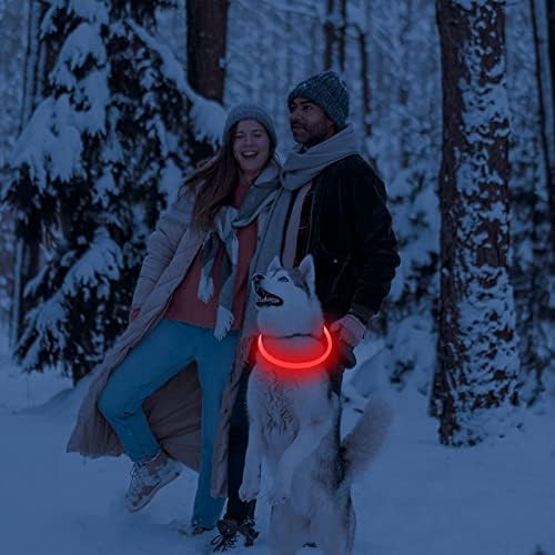 Domagiker Light Up Collar