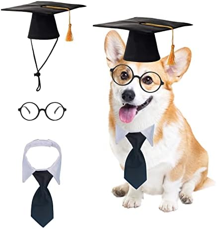 3 PCS Caps de graduação para cães 2023 colarinho de pet -tear de pet -tel de gravata de gravata borbole