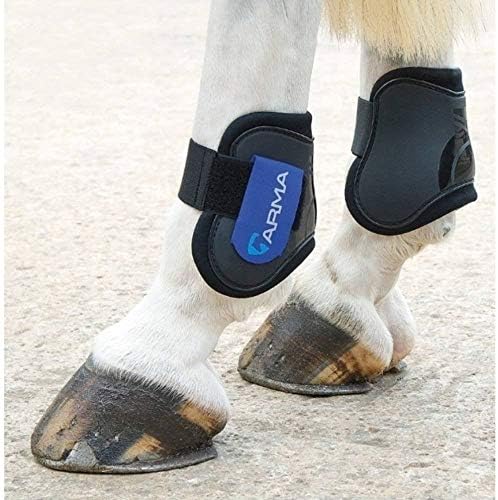 Botas de fetlock traseiro de Arma