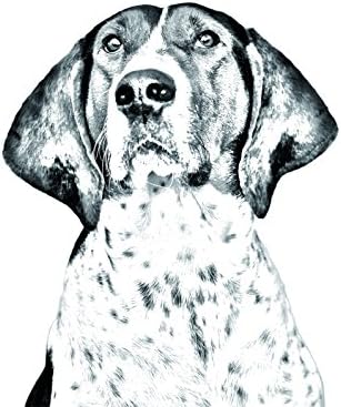 Treeing Walker Coonhound, lápide oval de azulejo de cerâmica com uma imagem de um cachorro