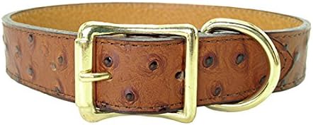 Auburn Leathercraft Savannah Collar 1 x 18 Lizard Brown