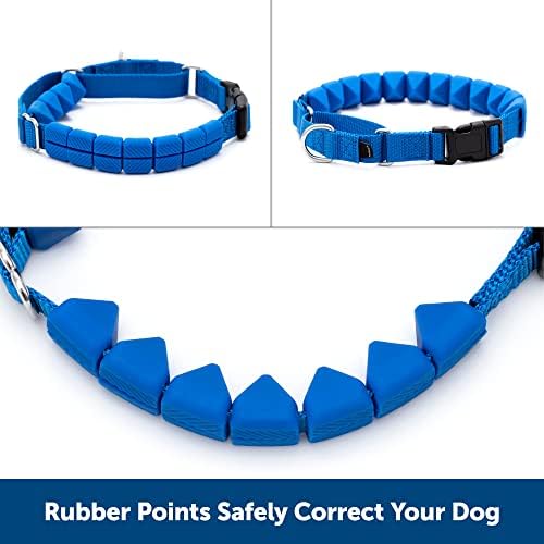 PetSafe Soft Point Training Collar - ajuda a parar de puxar - mais seguro do que colarinhos de ponta ou estrangulamento - ensina melhores