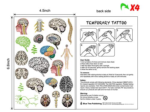 Brain Anatomy Body Glow and Color Tattoo Set 4 Pack