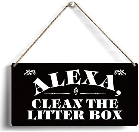 Alexa limpe a caixa de areia de madeira SILH