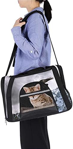 Portador de animais de estimação Cool Eagle Snow Mountain Soff-lateral Pet Travel para gatos, cães cachorros conforto