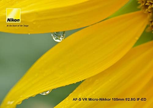 Nikon AF-S VR Micro-Nikkor 105mm f/2.8g Lente IF-ED