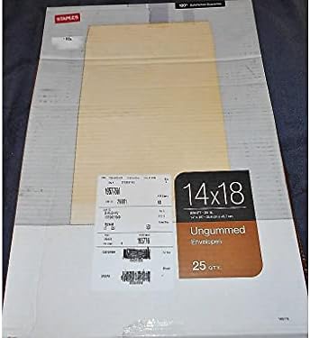 MYOFFICEINNOVAÇÕES 195776 14X18 BROWN KRAFT CATÁLOGO UNGUMMED ENVENCES, 25/BX